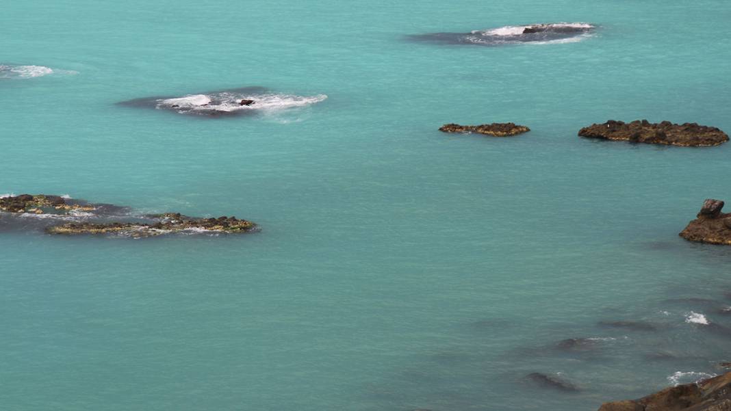 Değişim uydu fotoğraflarında: Suyu ısınan Karadeniz alarm veriyor 7